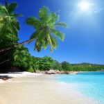 Cebu to Bohol: 2D and 1N with Bohol Country Side Tour - Transportation and Logistics