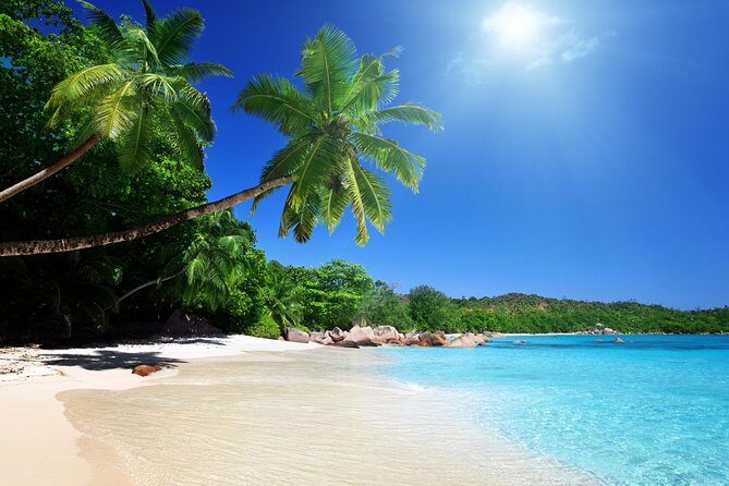 Cebu to Bohol: 2D and 1N with Bohol Country Side Tour - Transportation and Logistics