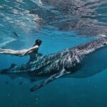 Cebu Tour Package 3D2N - Practical Details and What to Expect