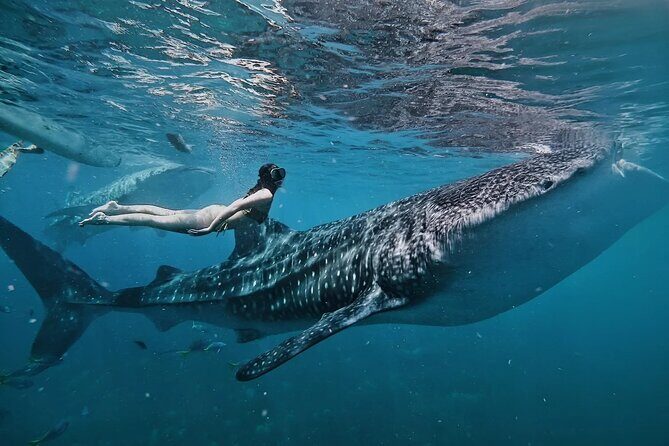 Cebu Tour Package 3D2N - Practical Details and What to Expect