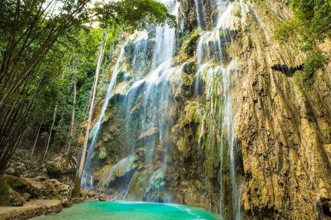 Cebu Tumalog, Inambakan Falls, Sardines and Whaleshark Watching - What Makes This Tour Stand Out?