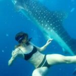 Cebu Whale Shark Interaction, Moalboal Sea Turtles, Sardines Run & Canyoneering - The Canyoneering Adventure