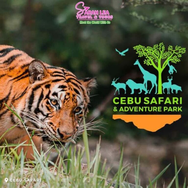Cebu: Wildlife & Adventure Safari Experience - The Experience: What Really Matters