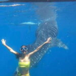 Cebu:Whale Shark, Waterfall, and Sardine Run Group Tour+Meal - The logistics: What makes this tour practical?