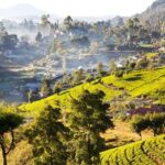 Central Highlands Peak Point from Kandy - The Value of the Tour