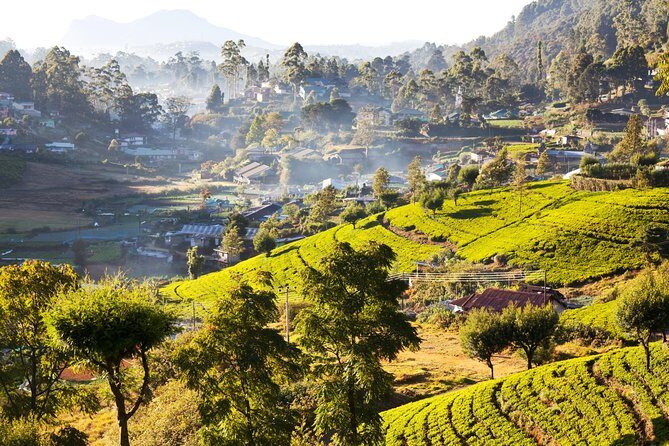 Central Highlands Peak Point from Kandy - The Value of the Tour