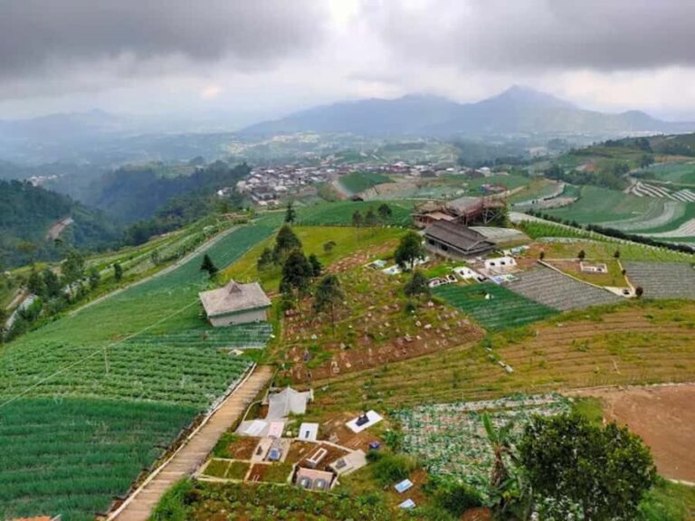 Central Java: Nepal Van Java & Borobudur Temple Tour - What to Bring and Practical Tips