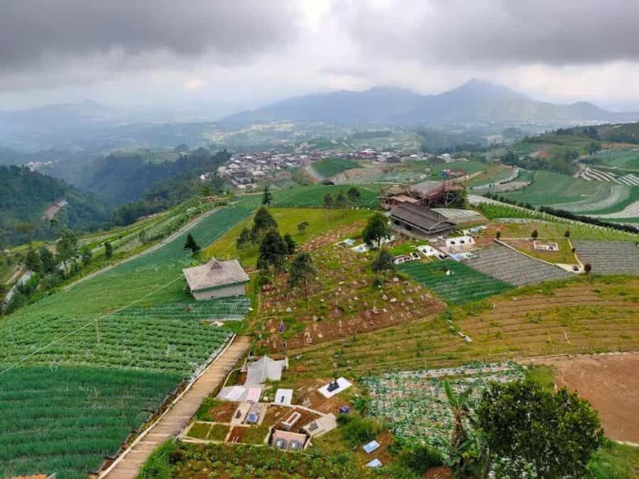 Central Java: Nepal Van Java & Borobudur Temple Tour - What to Bring and Practical Tips