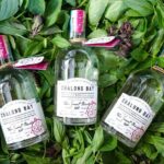 Chalong Bay Rum Tasting Session - Why Value Matters Here