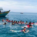 Cham Island Day Tour & Snorkeling from Da Nang with Group tour - Itinerary Breakdown: What to Expect