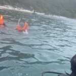Cham Island Sea Walk and Snorkeling Experience by Speedboat - Authentic Insights from Reviews