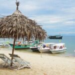 Cham Island Snorkeling Adventure from Da Nang or Hoi An - Practical Details and What to Expect