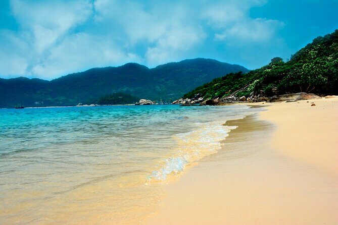 Cham Island Snorkeling Tour- Group Tour - An In-Depth Look at the Cham Island Snorkeling Tour