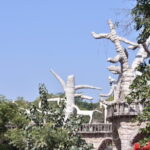 Chandigarh Walking Tour - What’s Included and What’s Not