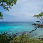 Charter Local Boat (Longtail Boat) To Racha Island From Phuket - Who Will Love This Tour?