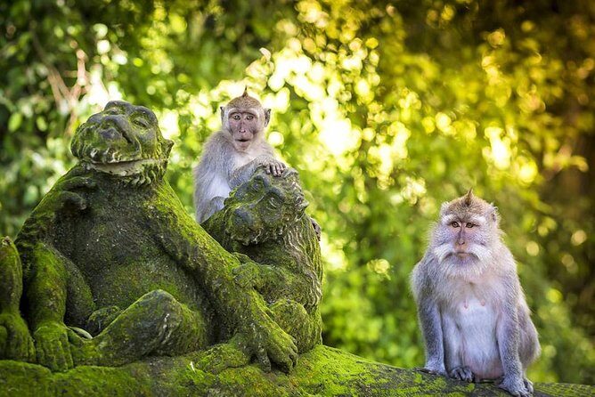 Charter Minivan Hi-Ace (14 seater) with Driver at Bali- 10 Hours Usage - A Detailed Look at the Itinerary