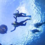 Charter Snorkeling (near Churaumi Aquarium) Free photo gift - What You Can Expect: A Detailed Breakdown