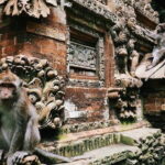 Charter Standard Vehicle with Driver at Bali- 10 Hours Usage - What’s Included and What’s Not?