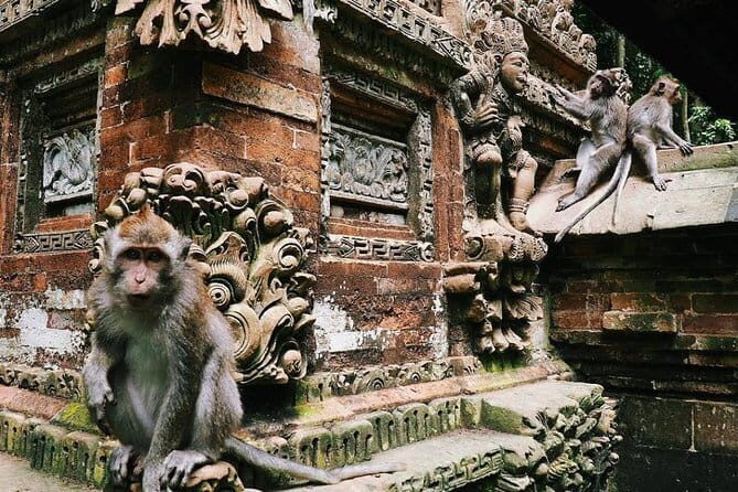 Charter Standard Vehicle with Driver at Bali- 10 Hours Usage - What’s Included and What’s Not?