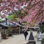 Chartered Private Tour - Tokyo to Nikko, Toshogu, Edo Wonderland - The Value and Who Will Love This Tour