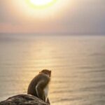 Chasing Sunrise in Da Nang and enjoying life - Authentic Experiences and Practicalities