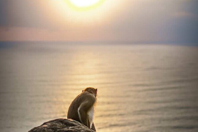 Chasing Sunrise in Da Nang and enjoying life - Authentic Experiences and Practicalities