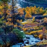 Chengdu: 5-Day Tour with Glacier& TibetanVillage& Jiuzhaigou - Practical Insights