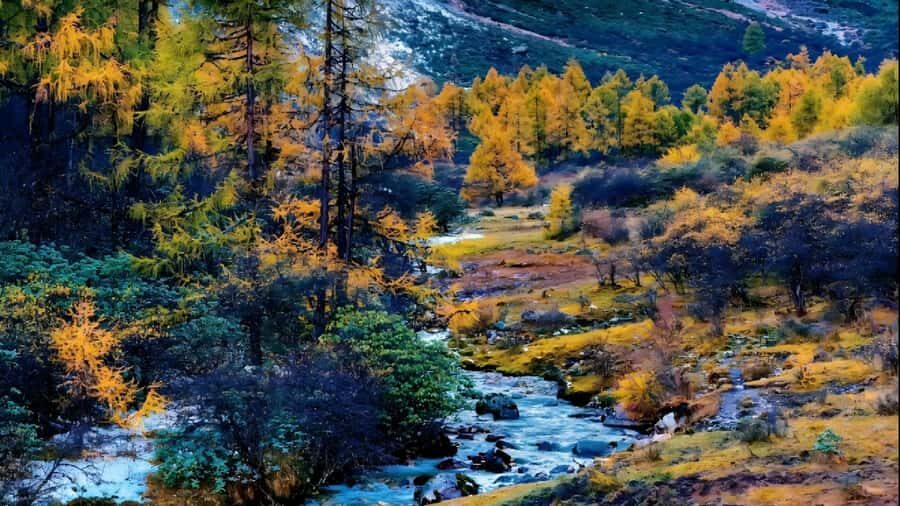 Chengdu: 5-Day Tour with Glacier& TibetanVillage& Jiuzhaigou - Practical Insights