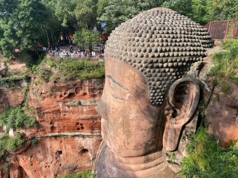 Chengdu: Chengdu Day Trip with Giant Panda and Leshan Buddha - What Makes This Tour Worth It