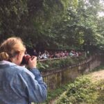 Chengdu Day Tour of Panda Hometown & Taoist Mountain - How the Tour Unfolds