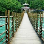 Chengdu: Dujiangyan Panda Base & Irrigation System Day Tour - Practicalities and Tips