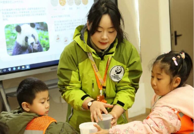 Chengdu: Giant Panda Base Tour with Panda Nutrition Class - Close Encounters with Pandas