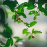 Chengdu Half-Day Cultural Leisure Tour w Personal Photo Shoot - Analyzing the Value & Practicalities