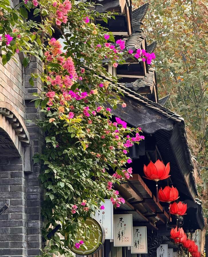 Chengdu: Local Alley, Museum, Handcraft & Night Market Tour - Practical Details and What to Expect