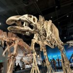 Chengdu: Natural History Museum Guided Tour - Exploring the Chengdu Natural History Museum: What to Expect