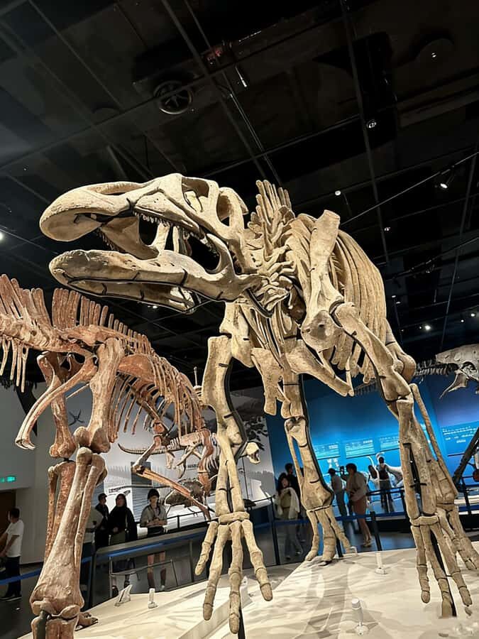 Chengdu: Natural History Museum Guided Tour - Exploring the Chengdu Natural History Museum: What to Expect