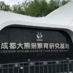 Chengdu Panda Base Half-Day Tour Optional Sichuan Opera Face - Authentic Experiences and Hidden Gems