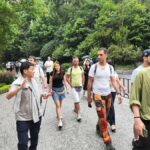 Chengdu: Panda Base Half-day Tour or Panda & Buddha Day Tour - What to Expect from the Tours