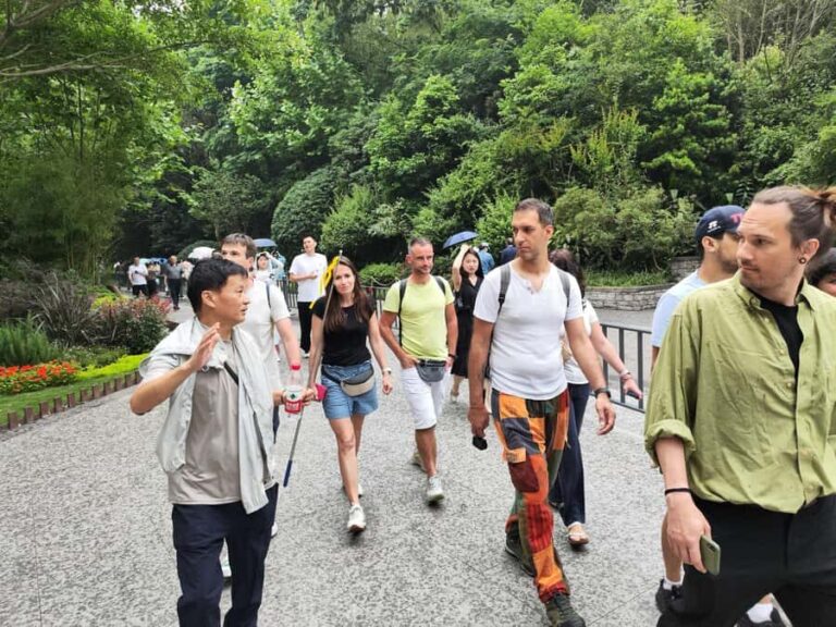 Chengdu: Panda Base Half-day Tour or Panda & Buddha Day Tour - What to Expect from the Tours