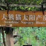 Chengdu: Panda Breeding Base Private Guided Tour - Value & Who Will Love This Tour