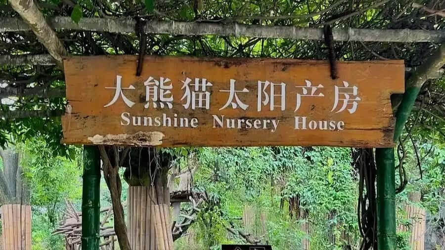 Chengdu: Panda Breeding Base Private Guided Tour - Value & Who Will Love This Tour