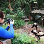 Chengdu Panda & City Tour: Your Ultimate Experience - Final Thoughts