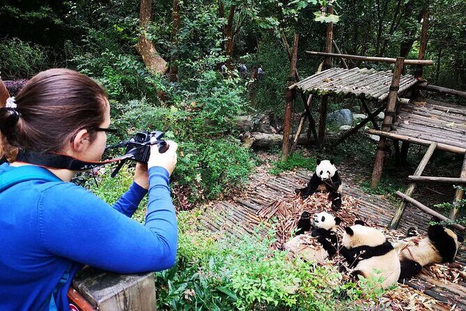 Chengdu Panda & City Tour: Your Ultimate Experience - Final Thoughts