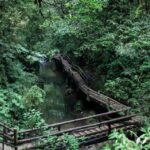 Chengdu: Qingcheng Mountain, Dujiangyan & Sichuan opera Tour - Why You Should Consider This Tour