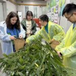 Chengdu: Volunteer Day Experience at Dujiangyan Panda base - Optional Red Panda Experience