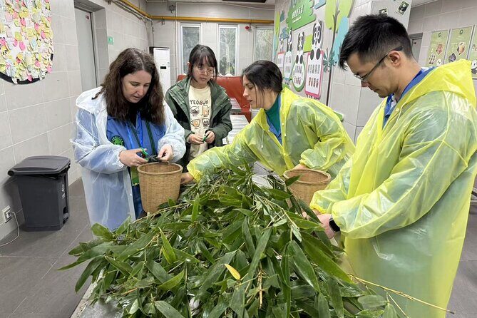 Chengdu: Volunteer Day Experience at Dujiangyan Panda base - Optional Red Panda Experience
