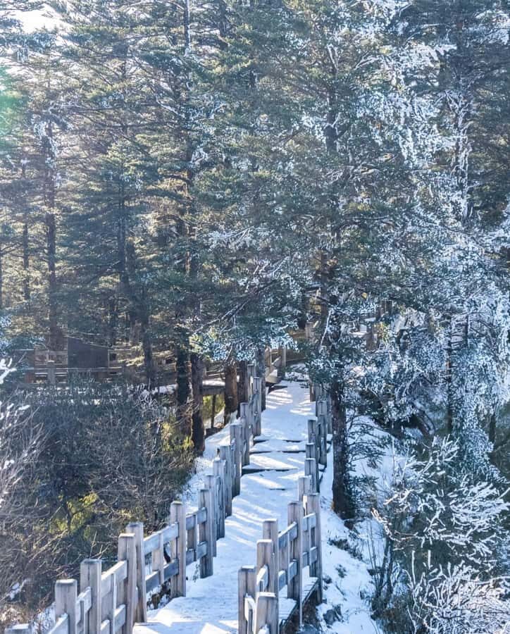 Chengdu: Xiling Snow Mountain Tour with Cable Car & Hiking - Practical Details and Tips