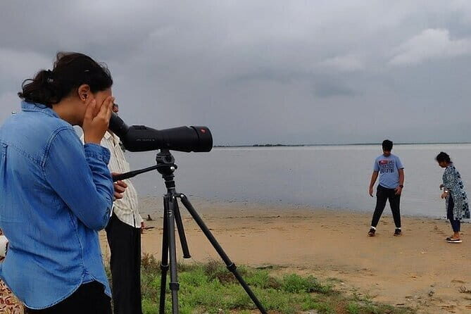 Chennai, Birding with Sound Approach, Spotting Scope, 2-3 hours - Analyzing the Price & Overall Value