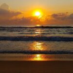 Chennai in a Day: Private Guided Full-Day Sightseeing Tour - Final Thoughts