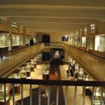 Chennai Private Vehicle Tour with English Speaking Chauffeur - What Makes This Tour Stand Out?